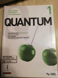 9788805075799 Quantum 1. libro di fisica