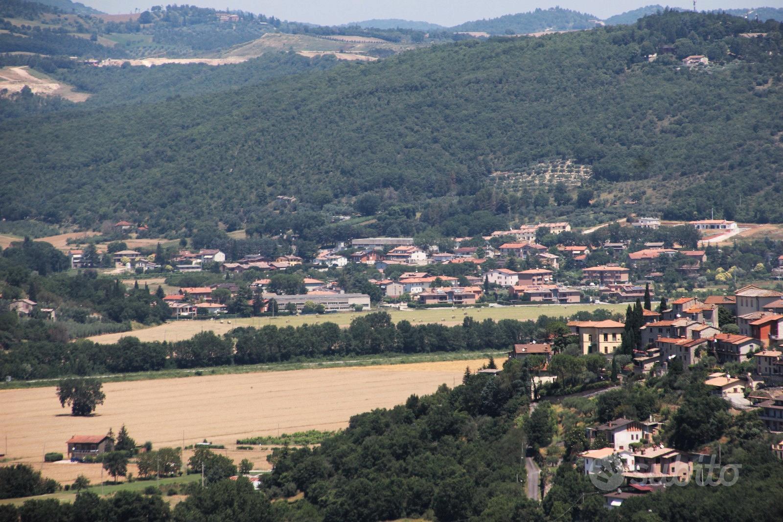 Terreno edificabile mantignana voc. santa lucia - Vista 2