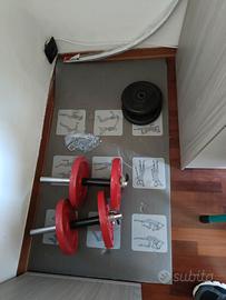 panca regolabile con attrezzo per il dorso