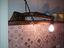 Immagine 8
