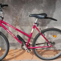 Mountain bike Specialized