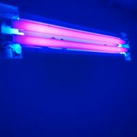 Kit tubo neon wood uv t8 18w a luce nera + ballast