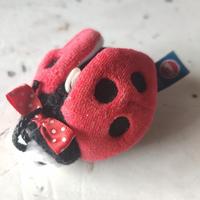 Mini Trudino Cocinella