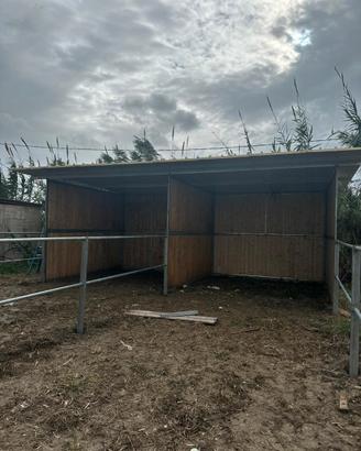 Capannine per cavalli