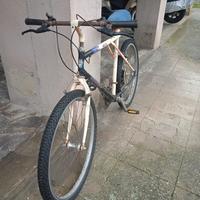 Mountain bike 26