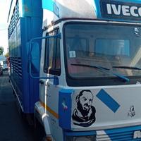 Iveco 79.14 trasporto cavalli