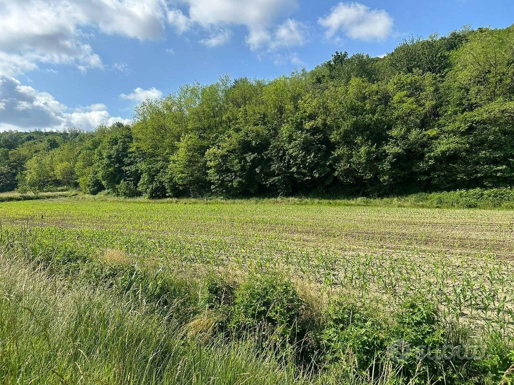 Terreno di 3845 m² a Sirone - Vista 5