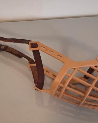 Museruola cane