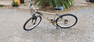 mountain bike Nuzzi Graffiti evolution  TG. 26