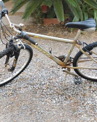 mountain bike Nuzzi Graffiti evolution  TG. 26