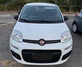 Fiat Panda 1.2 69 CV bianca