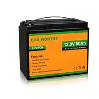 Batteria LIFEPO4 12V 50Ah e scarica di 100A