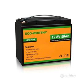 Batteria LIFEPO4 12V 50Ah e scarica di 100A