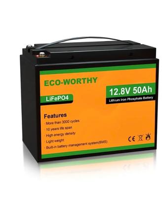 Batteria LIFEPO4 12V 50Ah e scarica di 100A