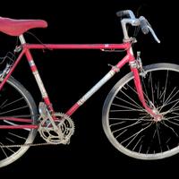 bici Gios Torino 