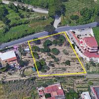 Terreno agricolo - VIGNETO