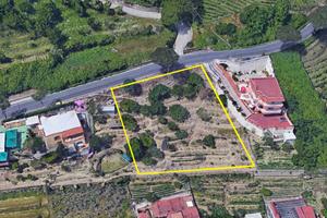 Terreno agricolo - VIGNETO