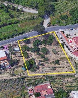 Terreno agricolo - VIGNETO