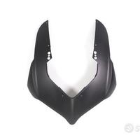 Cupolino anteriore carbonio ducati panigale v4 v4s