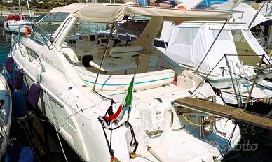 SEALINE 360 AMBASSADOR