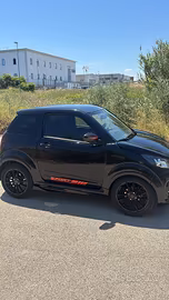 ligier 50 minicar 