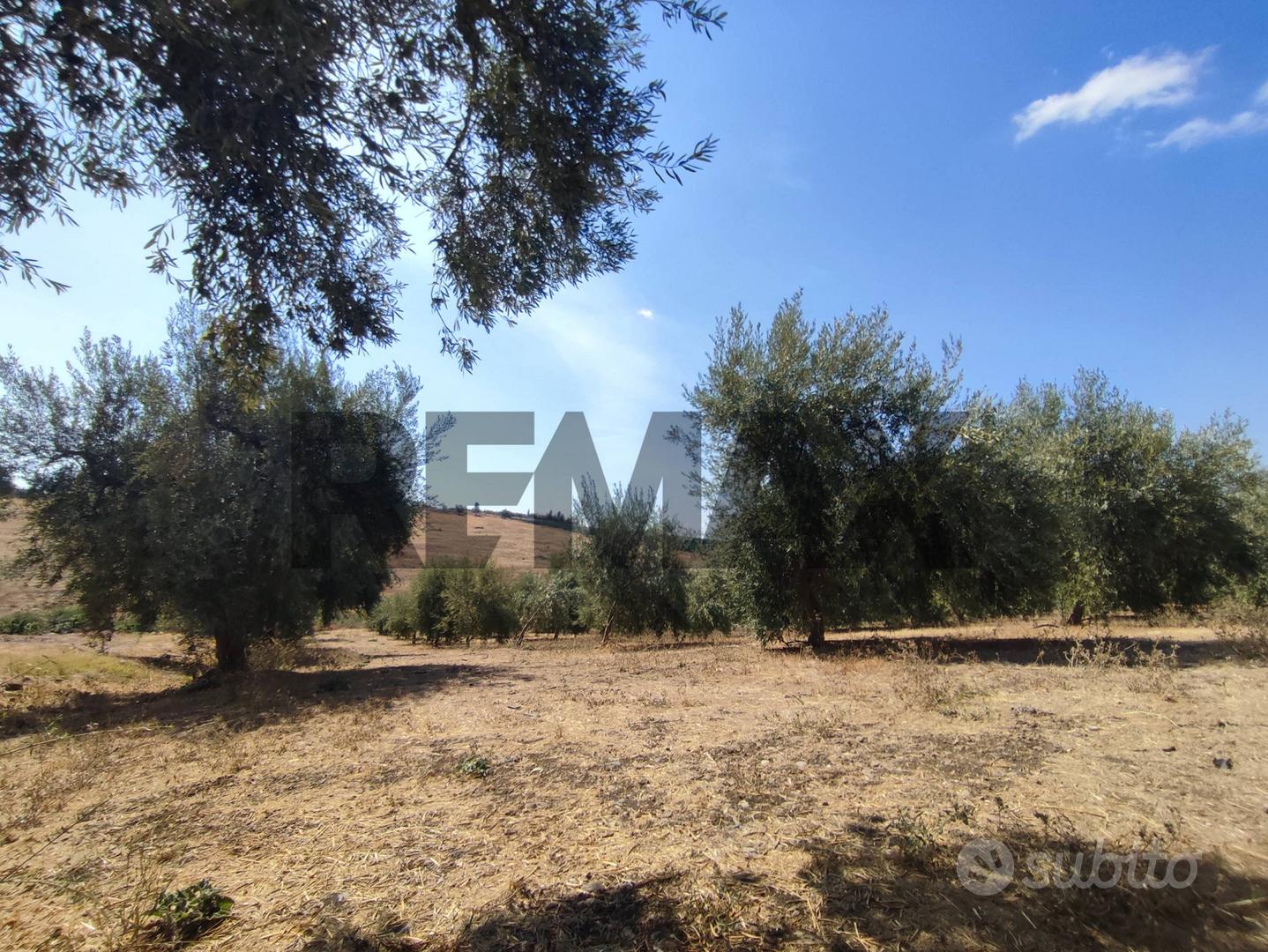 Terreno - Motta Sant'Anastasia - Altro