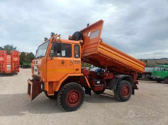 Camion Iveco 80-14 4x4 Rib
