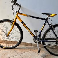Bici Bianchi Mountain bike