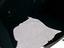 Immagine 9