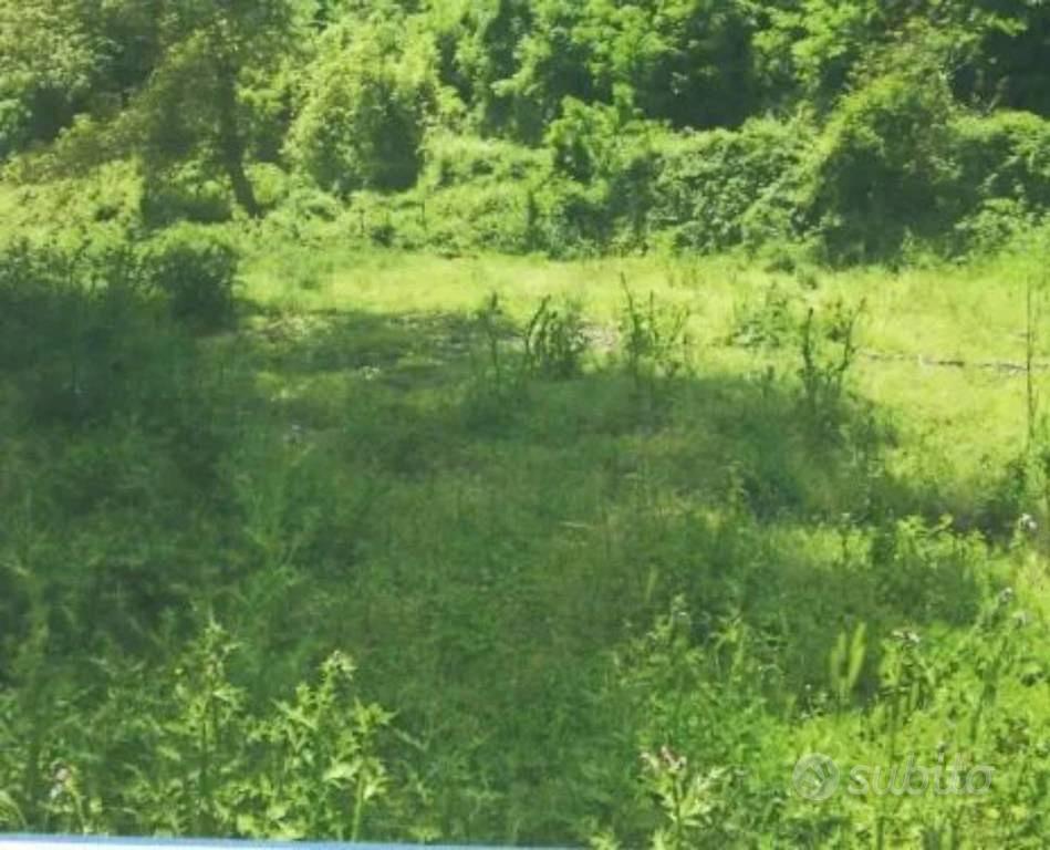 Immobile in asta di 156406 m² a Abriola - Vista 4