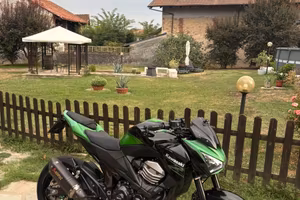 Z800e abs performance