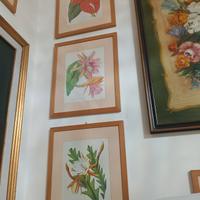 stampe flora vintage 