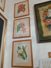 stampe flora vintage 