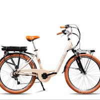 Bicicletta elettrica