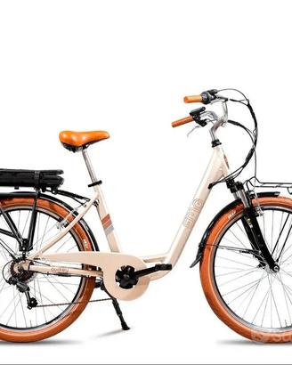 Bicicletta elettrica
