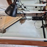 Acquario tartarughiera