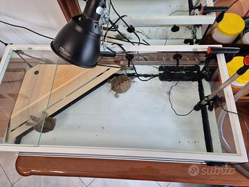 Acquario tartarughiera