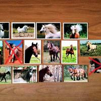 CARTOLINE FOTOGRAFICHE DA COLLEZIONE *CAVALLI*