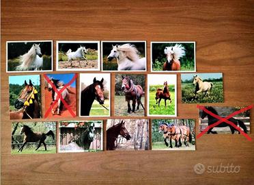 CARTOLINE FOTOGRAFICHE DA COLLEZIONE *CAVALLI*