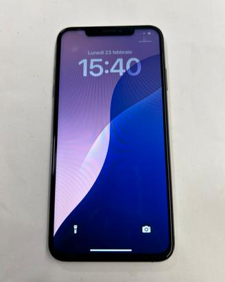 Iphone  xs max 256 gb batteria 100%