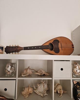mandolino napoletano  antico