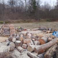 legna da ardere in ciocchi