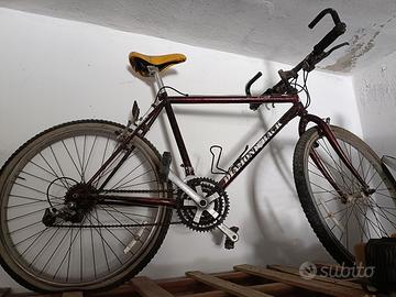 bicicletta Mountain bike
