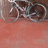 Bici da corsa in carbonio