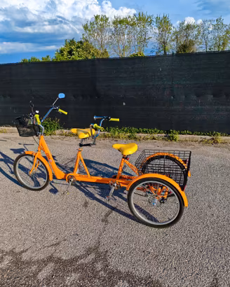 Bici Triciclo Tandem per famiglie