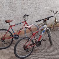 Bici assortite