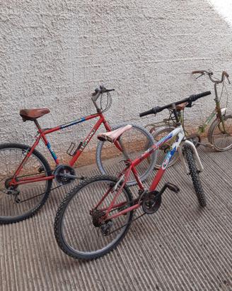 Bici assortite