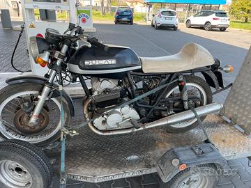 Ducati 500 gtl