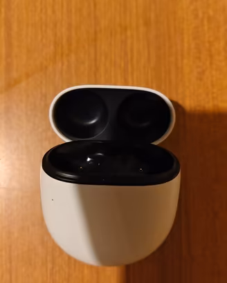 Custodia Google Pixel Buds Pro 2 
