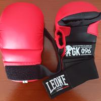 Guanti boxe/fitness boxe